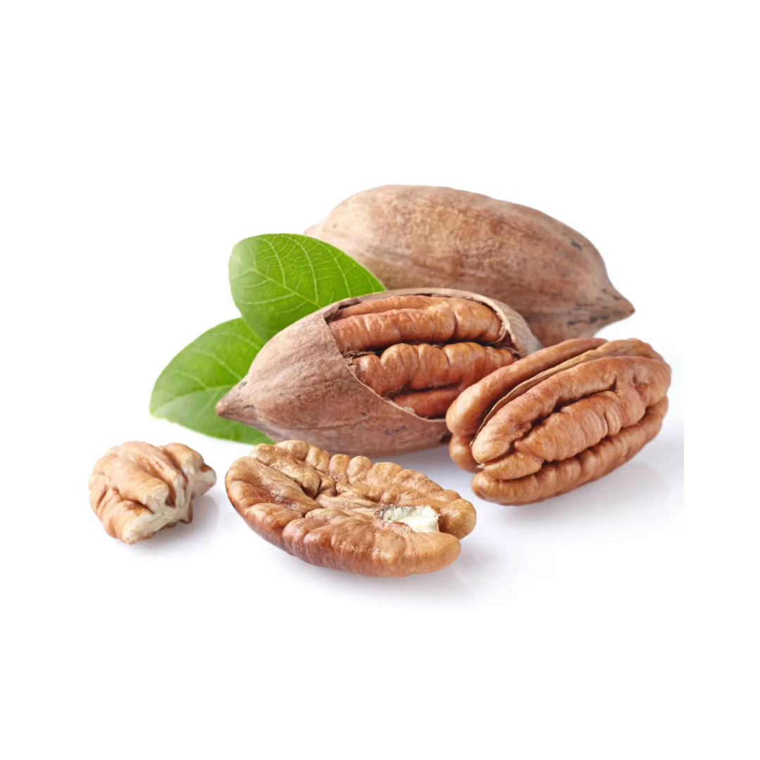 Sans titre - 2021-09-13T134117.304